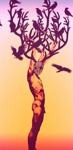 Blacklight Poster 18 X 24 in